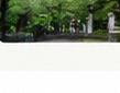 四季の境内